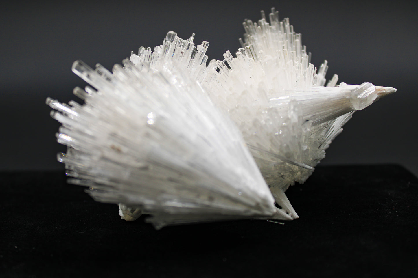 Scolecite