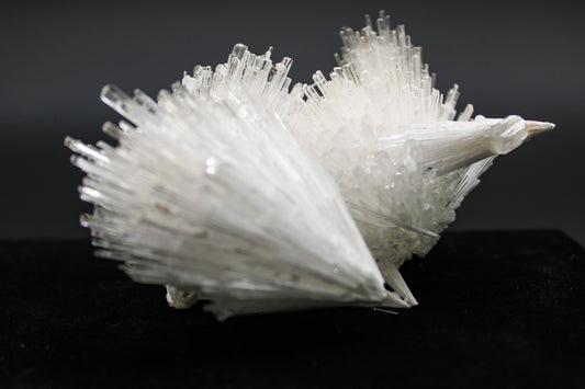 Scolecite