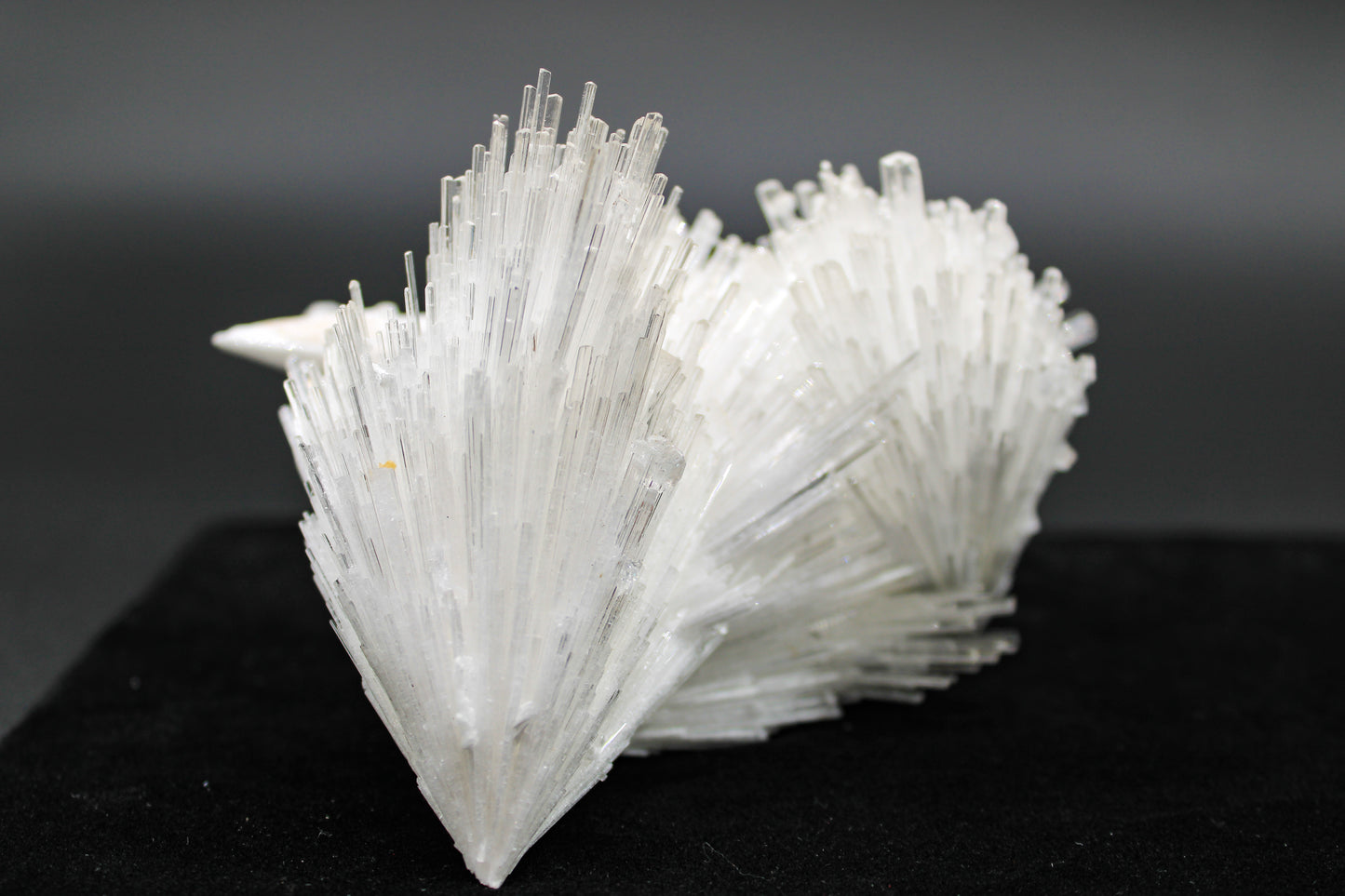 Scolecite